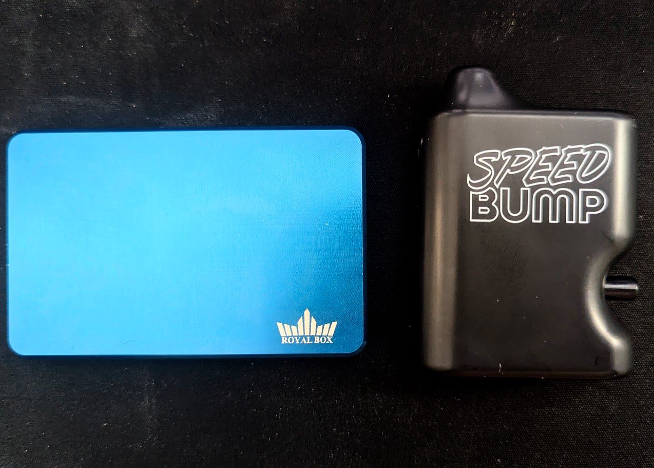 Speed Bump next to Royal Box